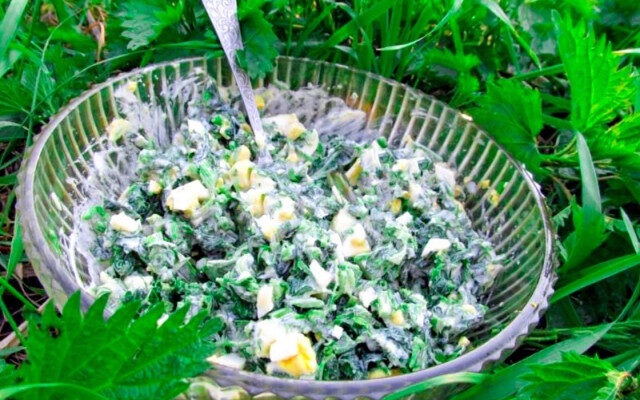 Салат из крапивы с яйцами на скорую руку