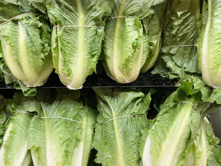 Классический «Цезарь»: как приготовить самый знаменитый салат — тонкости от шеф-повара