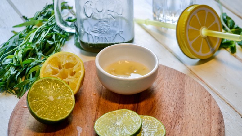 Домашний лимонад «Эстрагон» — пошаговый рецепт с фото, ингредиентами и как приготовить