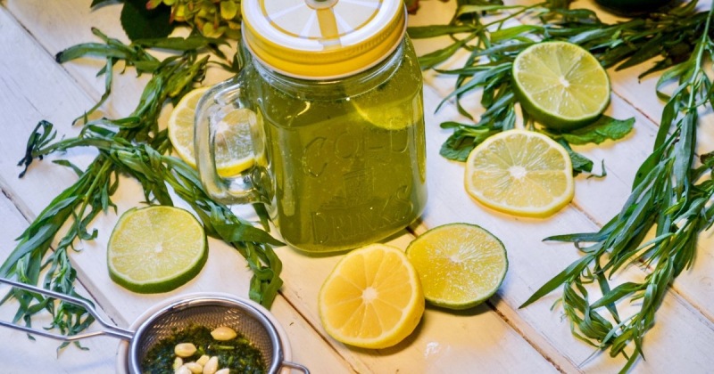 Домашний лимонад «Эстрагон» — пошаговый рецепт с фото, ингредиентами и как приготовить