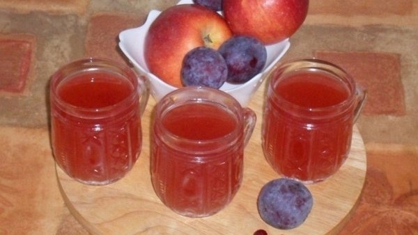 Кисель с яблоками, сливами и брусникой — пошаговый рецепт с фото, ингредиентами и инструкцией приготовления