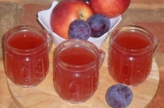 Кисель с яблоками, сливами и брусникой - пошаговый рецепт с фото, ингредиенты, как приготовить