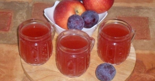 Кисель с яблоками, сливами и брусникой - пошаговый рецепт с фото, ингредиенты, как приготовить