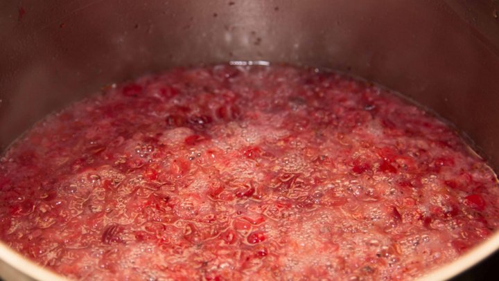 Брусничный морс - пошаговый рецепт с фото, ингредиенты, как приготовить