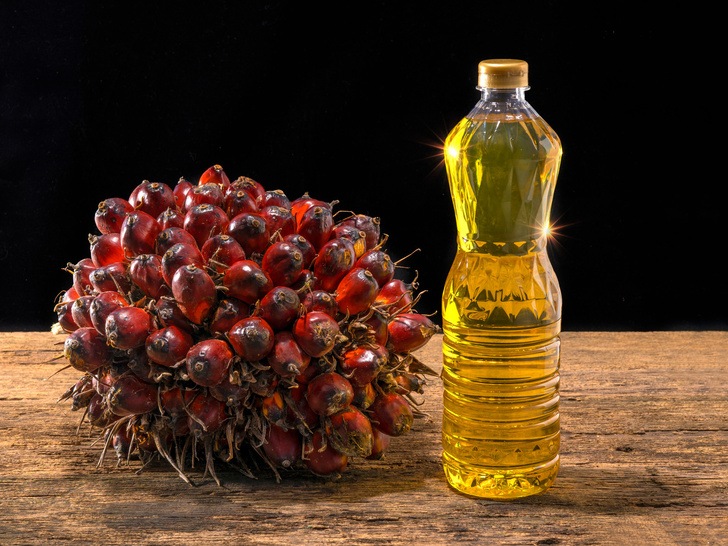 Это опасно: 10 продуктов, содержащих пальмовое масло, которые ни в коем случае нельзя есть