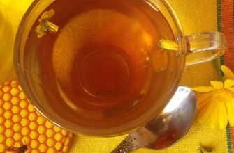 Травяной чай с мелиссой и зверобоем - пошаговый рецепт с фото, ингредиенты, как приготовить